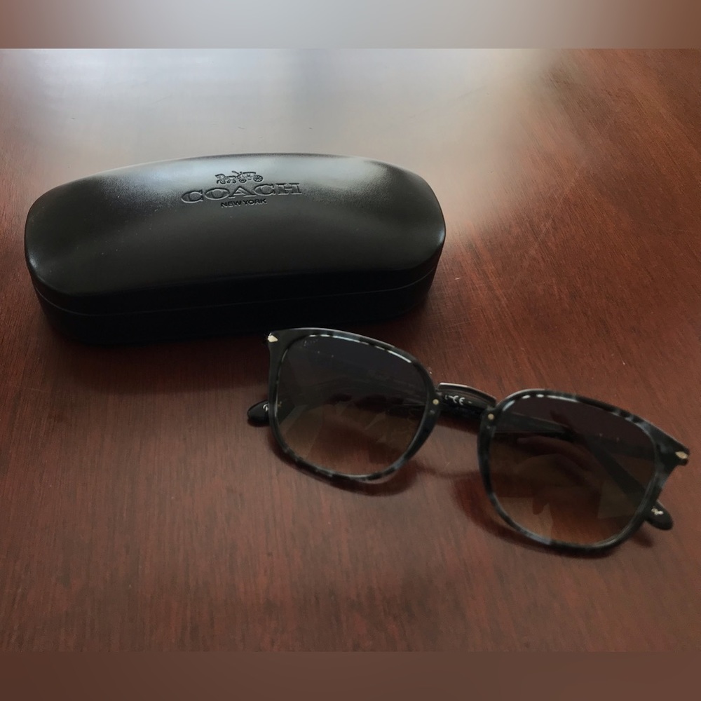 Persol Sunglasses and Coach Case